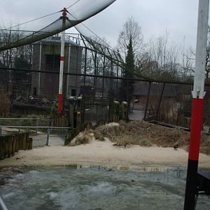 Inside the beach aviary
