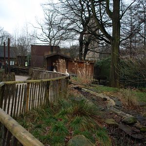 White stork enclosure