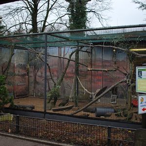 Kea aviary