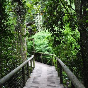 Monkeyland and Birds of Eden, Plettenberg Bay