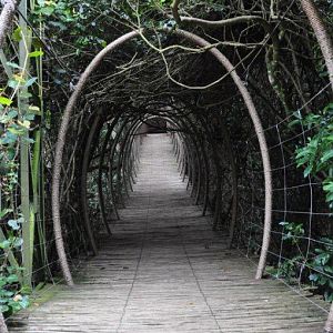 Monkeyland and Birds of Eden, Plettenberg Bay