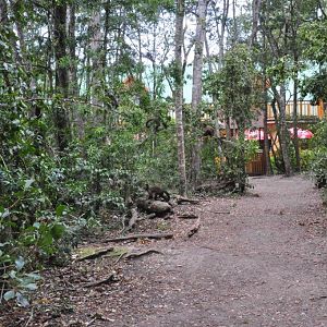 Monkeyland and Birds of Eden, Plettenberg Bay