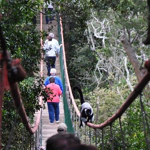 Monkeyland and Birds of Eden, Plettenberg Bay