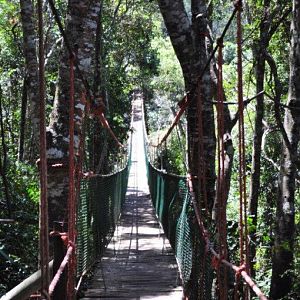 Monkeyland and Birds of Eden, Plettenberg Bay