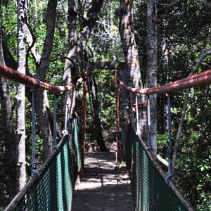 Monkeyland and Birds of Eden, Plettenberg Bay