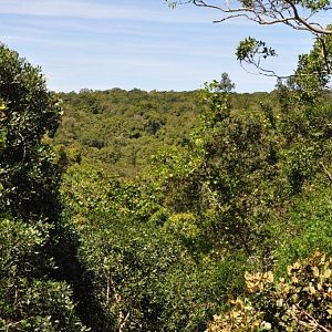 Monkeyland and Birds of Eden, Plettenberg Bay