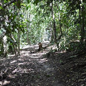 Monkeyland and Birds of Eden, Plettenberg Bay