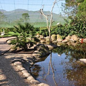 Monkeyland and Birds of Eden, Plettenberg Bay