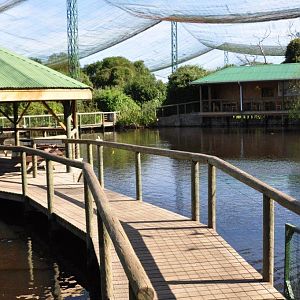 Monkeyland and Birds of Eden, Plettenberg Bay