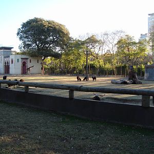 Mixed Species Exhibit