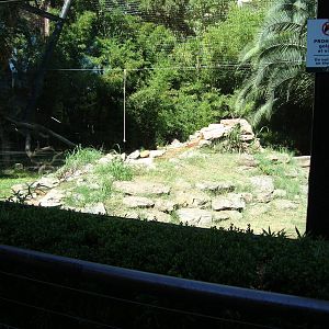 Jaguar´s exhibit