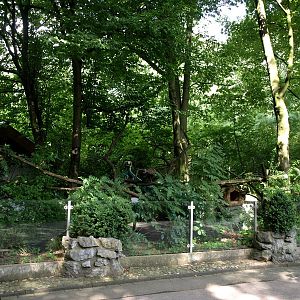 Duisburg Zoo - Red panda exhibit