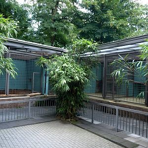 Duisburg Zoo - Tiger holding area