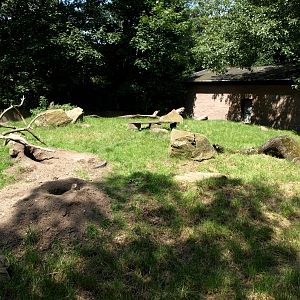 Duisburg Zoo - Prairie dog exhibit
