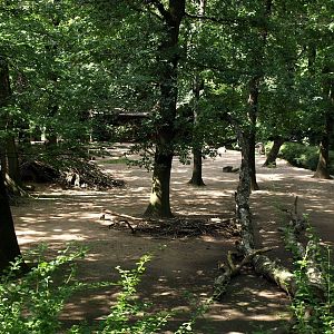 Duisburg Zoo - South America paddock