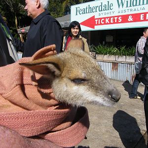 Joey acting as our arrival Party
