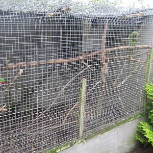 Collon Animal Sanctuary