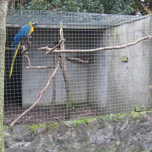 Collon Animal Sanctuary