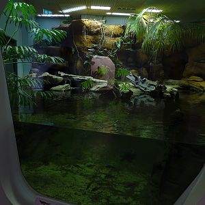 Enclosure for freshwater crocodile and others