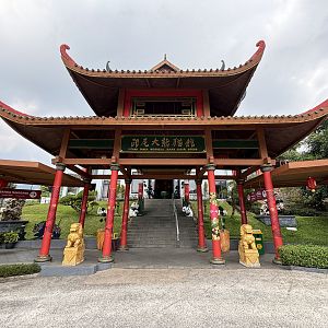 Wow! - Giant Panda Complex