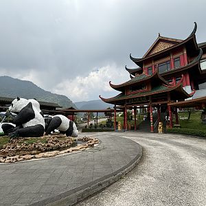 Giant Panda Complex