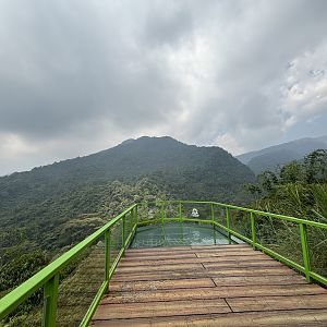 Glass Bottom Viewing Area - Giant Panda Complex