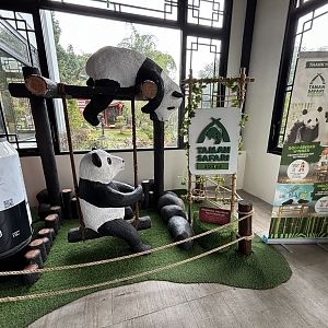 Giant Panda Complex