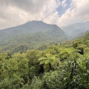 Incredible Scenery - Giant Panda Complex