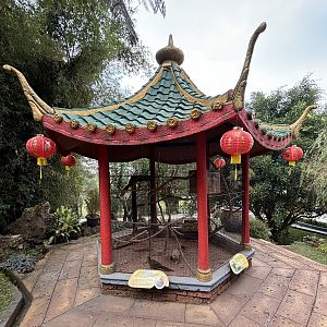 Golden Pheasant Aviary - Giant Panda Complex
