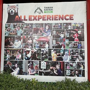 Red Panda Experience - Giant Panda Complex