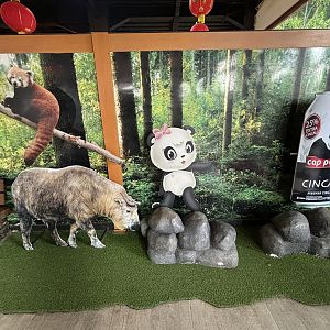 Giant Panda Complex