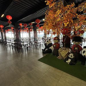 Restaurant - Giant Panda Complex