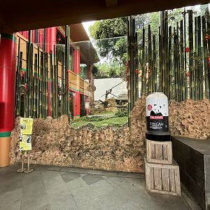 Giant Panda Exhibit - Giant Panda Complex