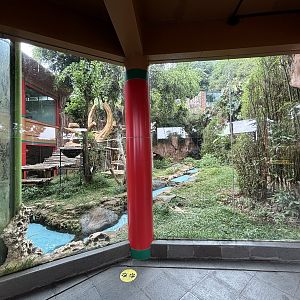 Giant Panda Exhibit - Giant Panda Complex