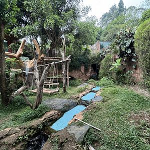 Giant Panda Exhibit - Giant Panda Complex