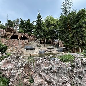 Takin Exhibit - Giant Panda Complex