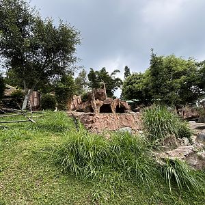 White Stork + Takin Exhibits - Giant Panda Complex
