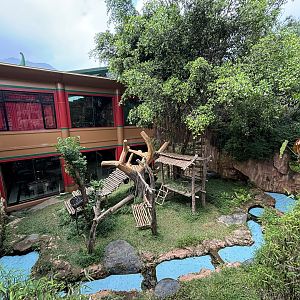 Giant Panda Exhibit - Giant Panda Complex
