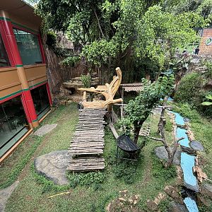 Giant Panda Exhibit - Giant Panda Complex