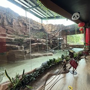 Giant Panda Exhibit - Giant Panda Complex