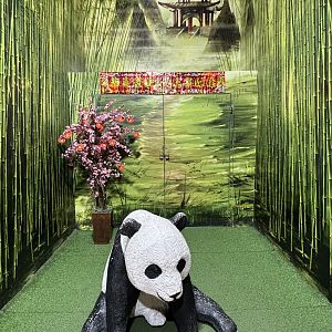 Photo Opportunity - Giant Panda Complex