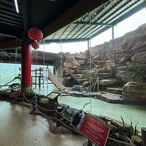 Giant Panda Exhibit - Giant Panda Complex