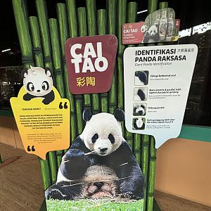 Cai Tao - Giant Panda Complex