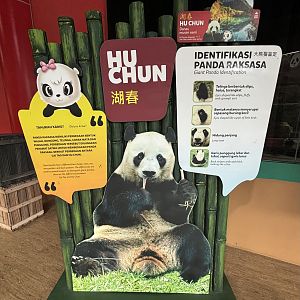 Hu Chun - Giant Panda Complex