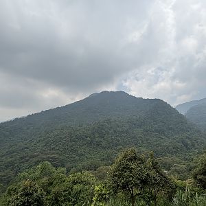 Jaw-dropping Mountains - Giant Panda Complex