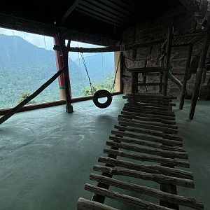 Giant Panda Exhibit - Giant Panda Complex