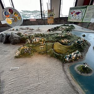 Model - Giant Panda Complex