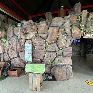 Giant Panda Cave - Giant Panda Complex