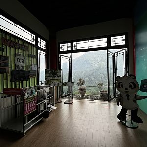 Giant Panda Hospital - Giant Panda Complex