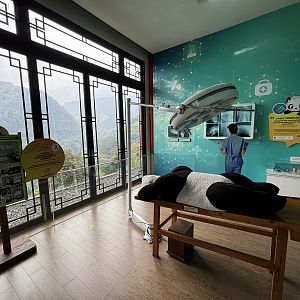 Giant Panda Hospital - Giant Panda Complex